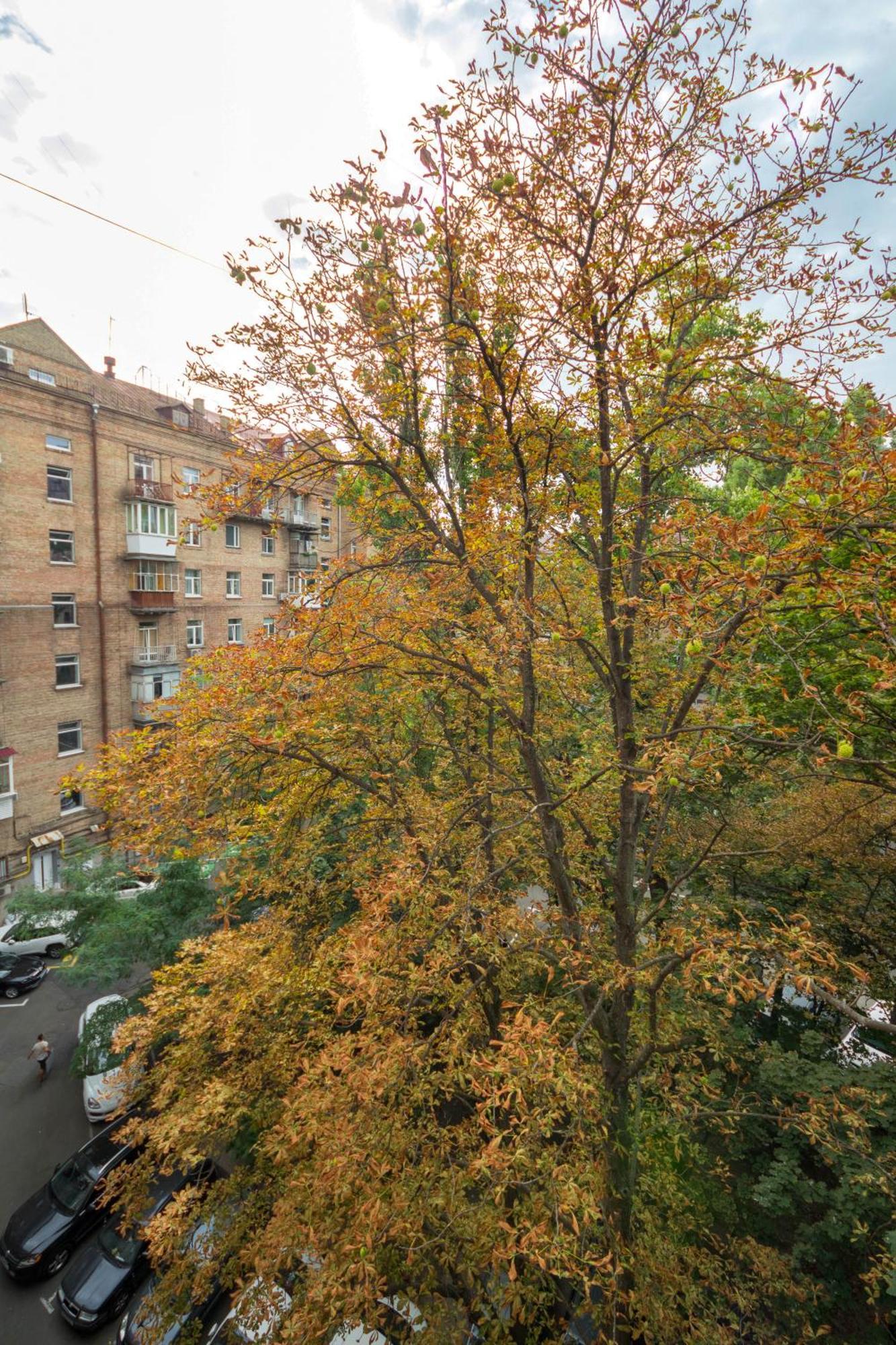 Central Apartments 基輔 外观 照片